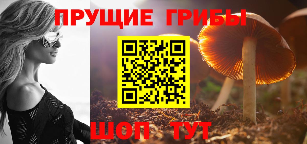 Первоуральск  Галлюциногенные грибы Psilocybine cubensis  Вход с VPN  Псилоцибиновые грибы Cubensis 